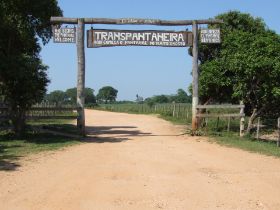 DSCF5642.JPG