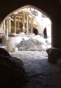 DSCF6517.JPG