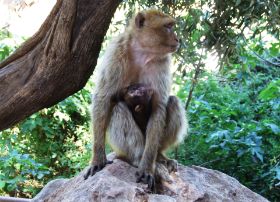 DSCF6794.JPG