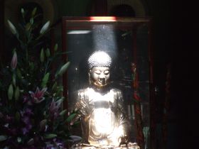 DSCF7950.JPG