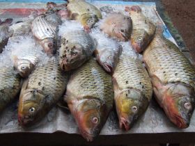 Laos 2007_0486.JPG